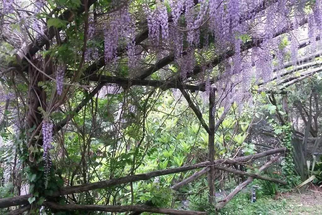 Casetta Indipendente Al Mare 菲纳莱利古雷 度假居